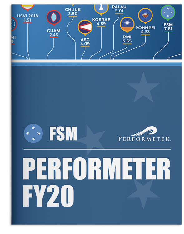 thumbnail detail of FSM Performeter FY20
