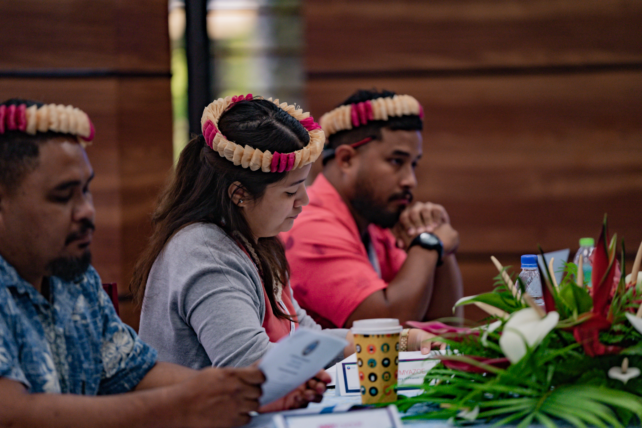 gallery image of ELDP VIII (Pohnpei)